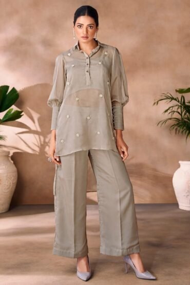 Adorable Grey Hand Work Organza Party Wear Co-Ord Set