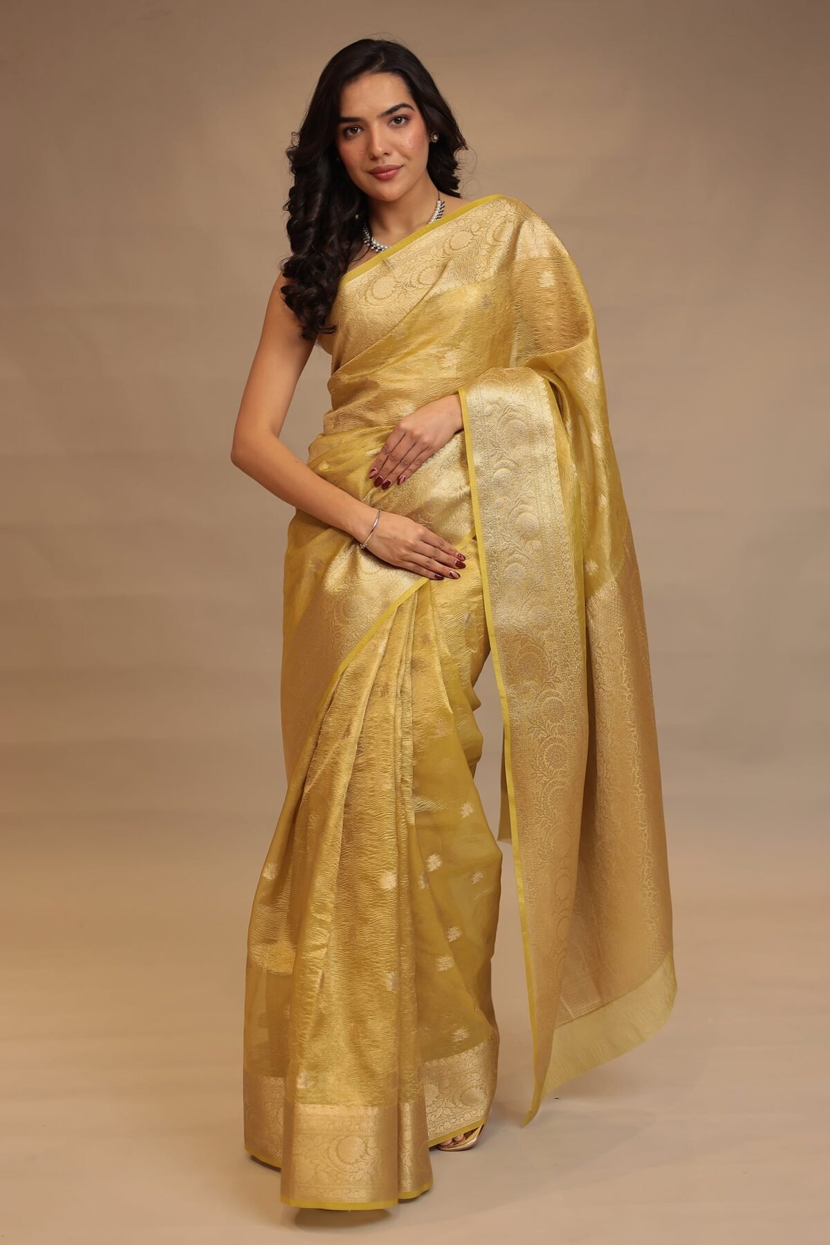 Banarasi Tissue Saree